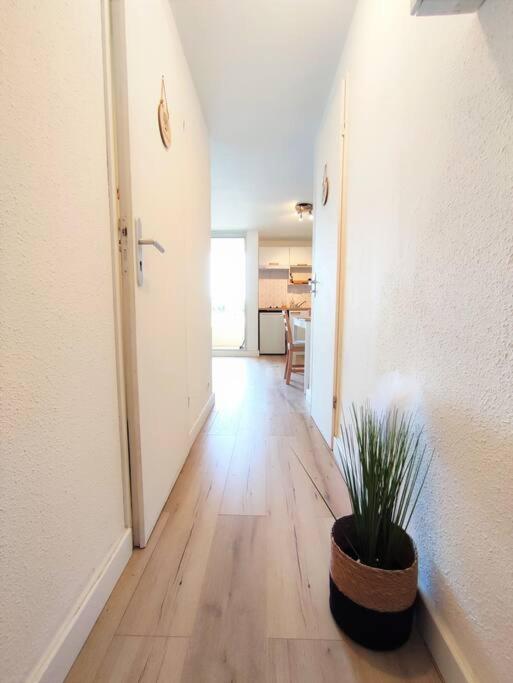 L'escapade : T2 -parking Gratuit, Piscine, Wifi, Clim * Gruissan